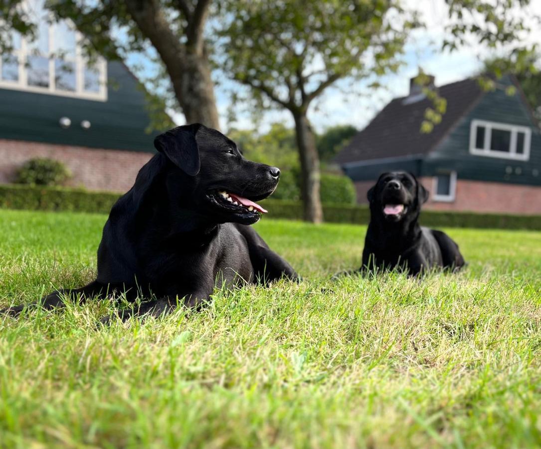 "Zonnekind" Atmospheric Holiday Home In Noordwijkerhout Near The Beach エクステリア 写真